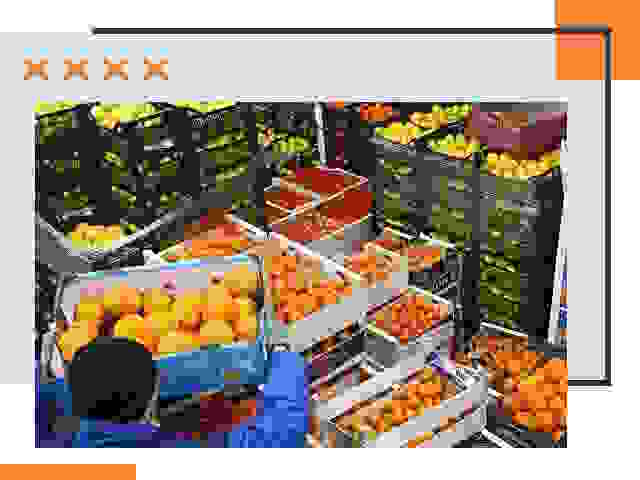 Перевозка скоропортящихся продуктов в Кингисеппе